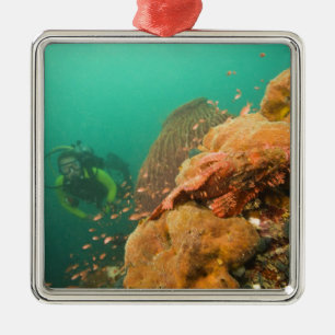 Taucher & Skorpionfisch Scorpanopsis Silbernes Ornament