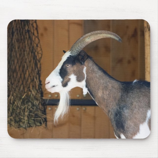 Tauernschecken-Ziege Mousepad (Vorne)
