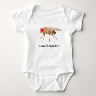 Taufliege-Baby-Bodysuit Baby Strampler