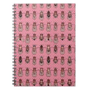 Taufliege-Frucht-Fliegen-Genetik - Mutanten - Rosa Notizblock