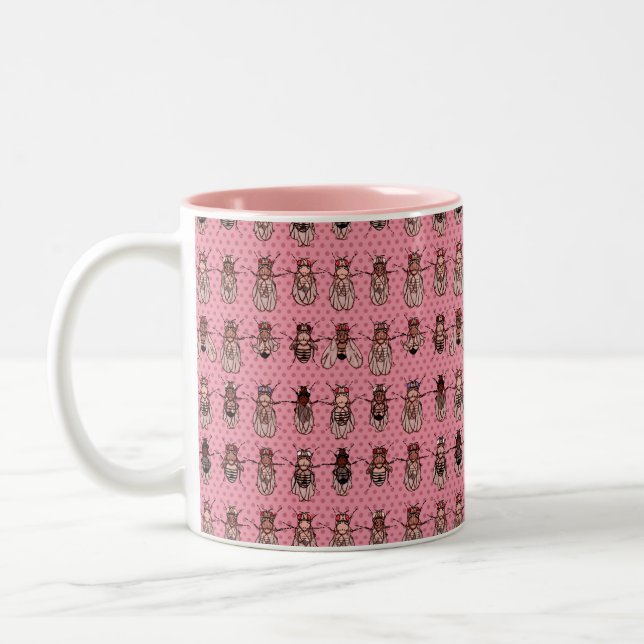 Taufliege-Frucht-Fliegen-Genetik - Mutanten - Rosa Zweifarbige Tasse (Links)