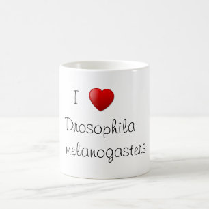 Taufliege Kaffeetasse
