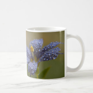 Taufrische Blaue Augen Kaffeetasse