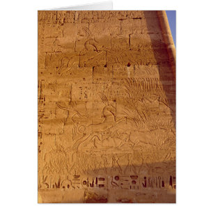 Taureaux sauvages de chasse de Ramesses III