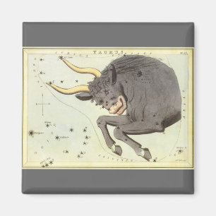 Taurus Bull, Vintager Sternbild Urania Magnet