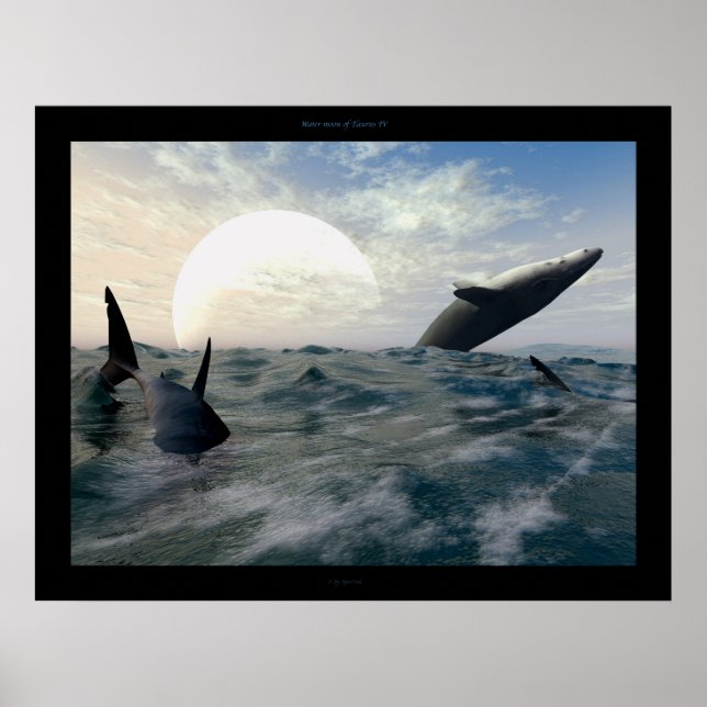 Taurus IV Poster (Vorne)