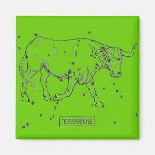 Taurus Magnet