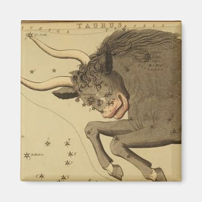 Taurus Magnet (Vorne)