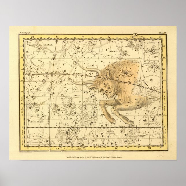 Taurus Poster (Vorne)