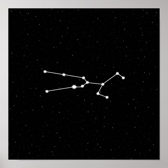 Taurus Zodiac Constellation Modernes Schwarz & Wei Poster (Vorne)