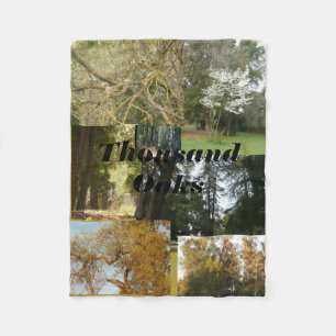 Tausende Eichen landschaftlich mit Eichen und imme Fleecedecke