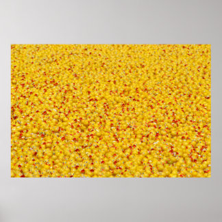 Tausende Enten Poster