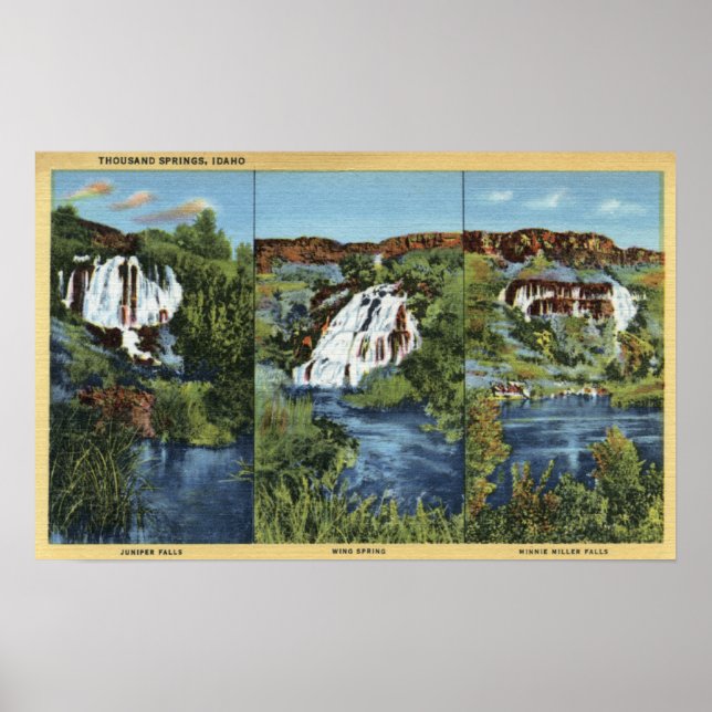 Tausende Springs, ID - Juniper, Wing und Minnie Poster (Vorne)