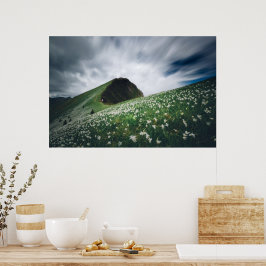 Tausende von Narzissen auf Golica, Slowenien Poster