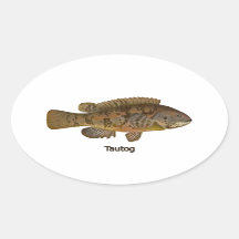 Tautog (Schwarzer Fisch)