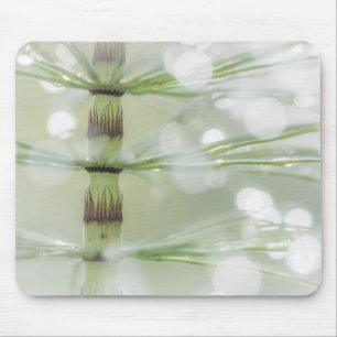 Tautropfen an Schachtelhalm Seabeck, WA Mousepad