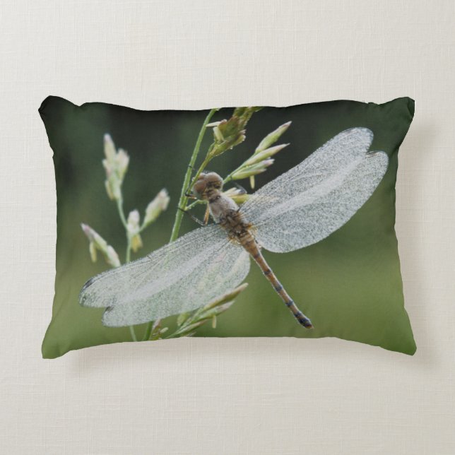 Tautropfen bedeckte Darner Libelle Zierkissen (Vorderseite)