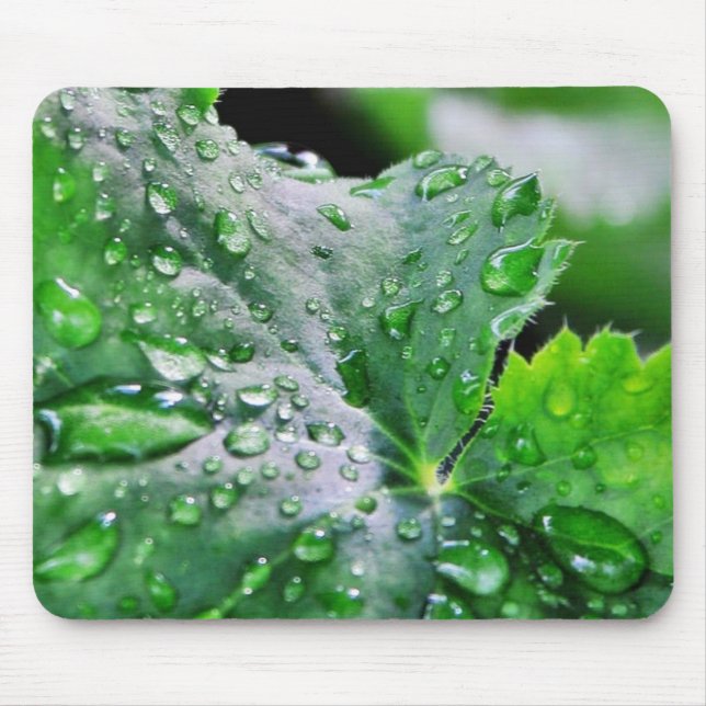 Tauwassertropfen Mousepad (Vorne)