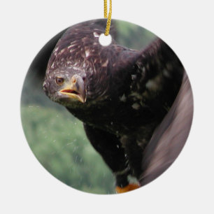 Tawny Eagle Keramikornament