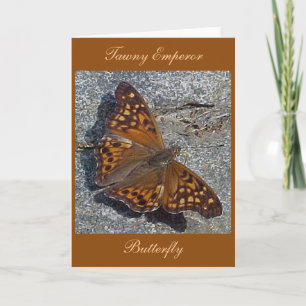 Tawny Emperor Butterfly Note Card Karte