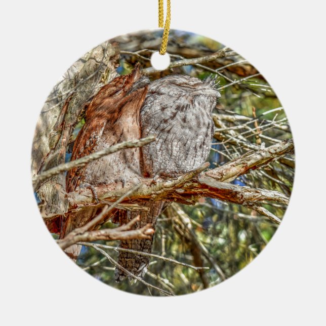 TAWNY FROGMOUTHS QUEENSLAND AUSTRALIEN KERAMIK ORNAMENT (Vorne)