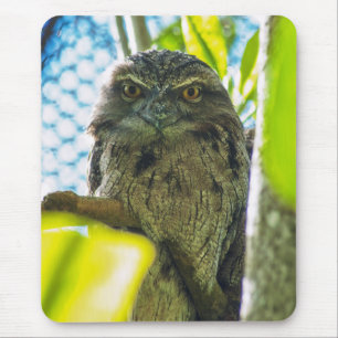 Tawny ist No Owl Mousepad