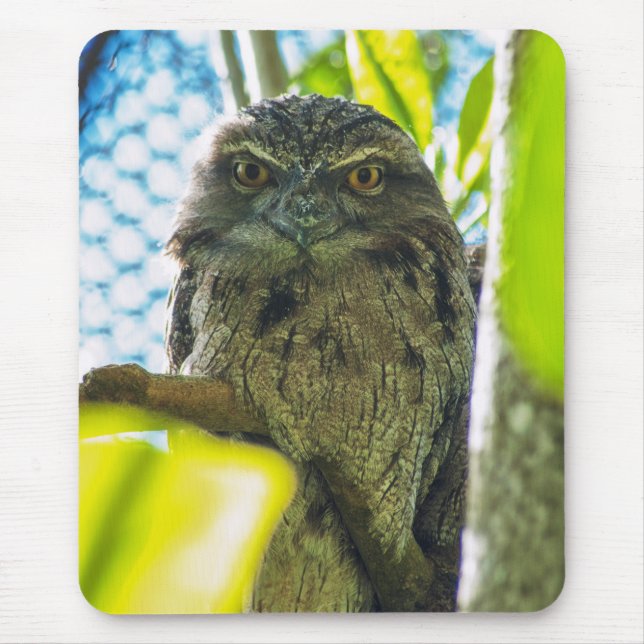 Tawny ist No Owl Mousepad (Vorne)