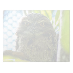 Tawny ist No Owl Notizblock