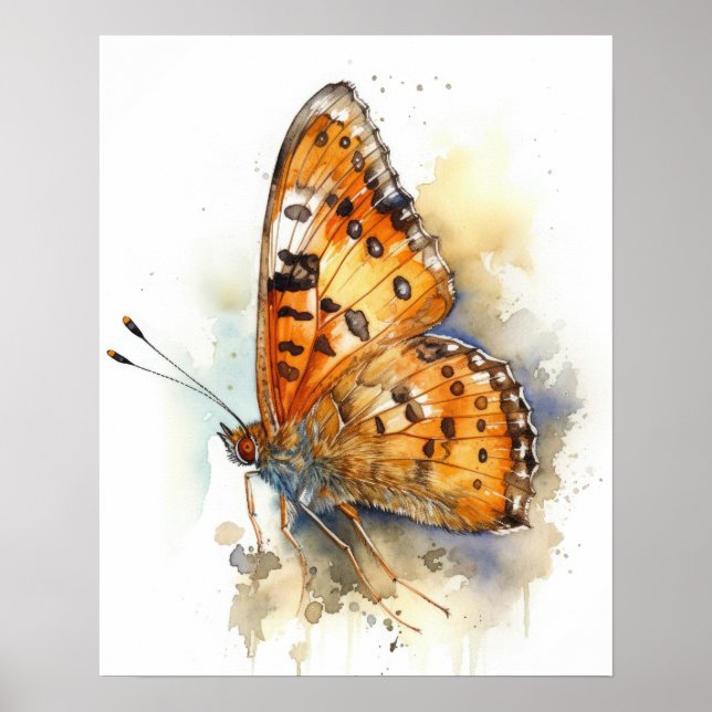 Tawny Kaiser Butterfly Art Print Poster (Vorne)