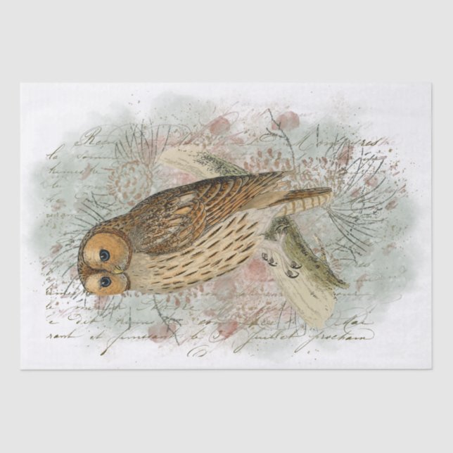 Tawny Owl Bird Pinecone Französisch Script Decoupa Seidenpapier (Vorderseite)
