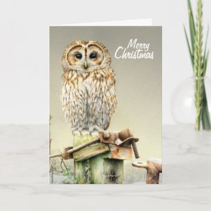 Tawny Owl dans la neige belle carte de Noël