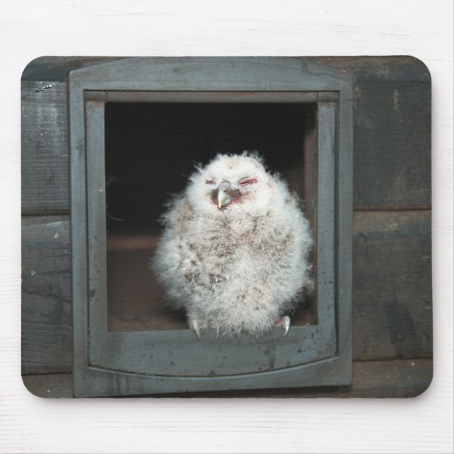 Tawny Owl Mousepad (Vorne)