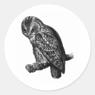 Tawny Owl Owls Bird Vintag Wood Gravur Runder Aufkleber