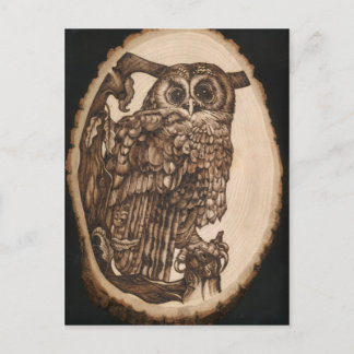 Tawny Owl Postkarte