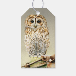 Tawny Uhu feine Kunstmalerei Weihnachtsgeschenk Ta Geschenkanhänger