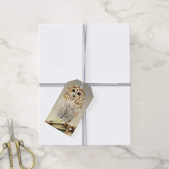 Tawny Uhu feine Kunstmalerei Weihnachtsgeschenk Ta Geschenkanhänger (Mit Garn)