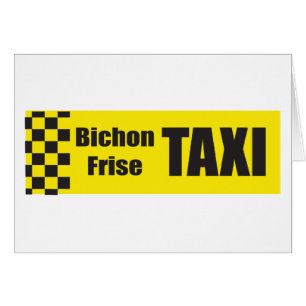 Taxi Bichon Frise