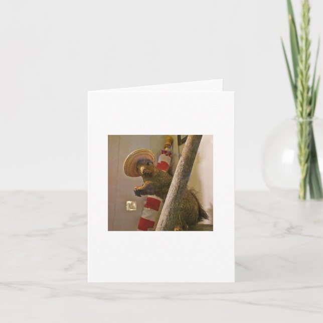 Taxidermy-Eichhörnchen in einer Karte (Vorderseite)