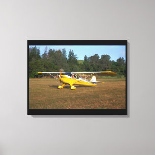 Taylorcraft, BC-12, 1941_Classic Aviation Leinwanddruck