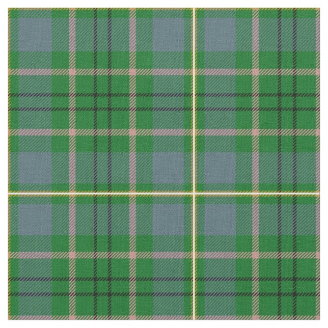 Taylortartan-Druck Stoff (Nahaufnahme)