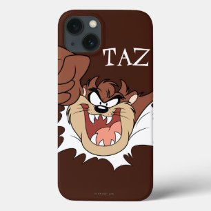 TAZ™ Burning Through Page title_seo2