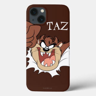 TAZ™ Burning Through Page title_seo2