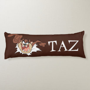 TAZ™ Burning Through Page Seitenschläferkissen