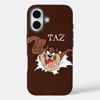 TAZ™ Burning Through Page title_seo2
