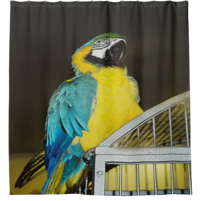 Taz... Duschvorhang (Vorderseite)