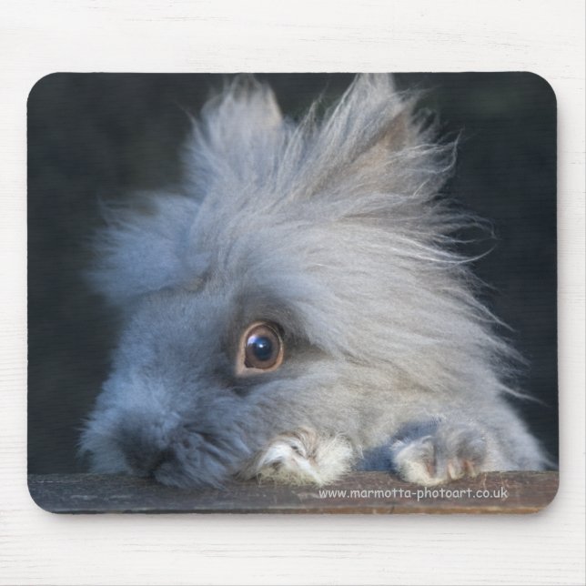 Taz-Mauspad Mousepad (Vorne)