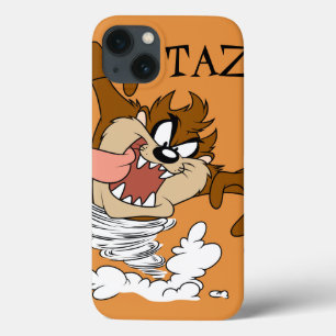 TAZ™ Whirlpool Tornado title_seo2