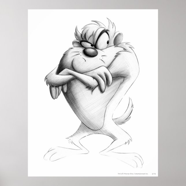 TAZ™ Zeichnend Poster (Vorne)