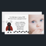 {TBA} Little Ladybug Foto Geburtstag / Geburt<br><div class="desc">Niedliche kleine "Lovebug" Ladybug-Karte,  die Sie für Geburtstag,  Babydusche oder Geburtsankündigung personalisieren können!</div>