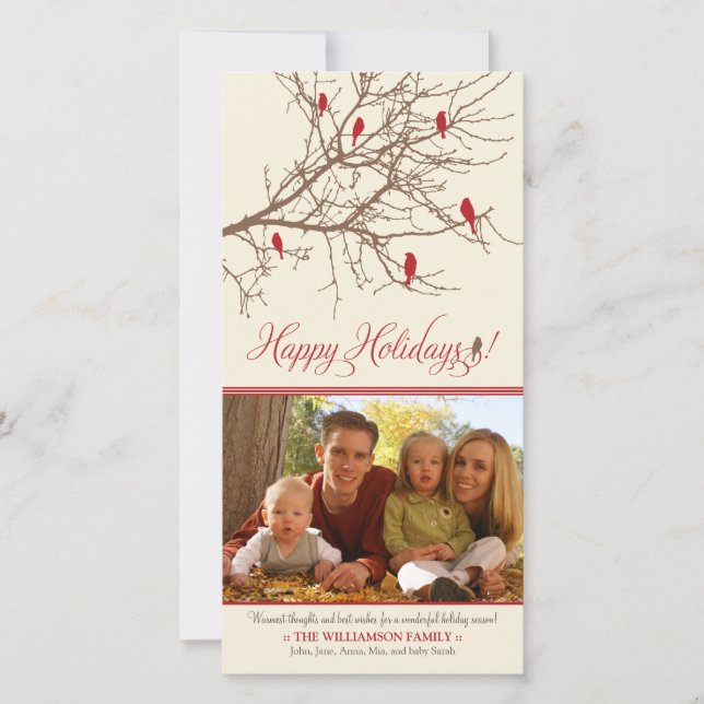 {TBA} Oiseaux d'hiver Joyeux Carte photo de vacanc (Devant)